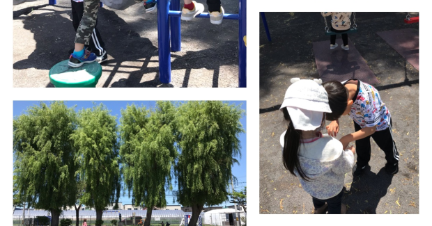 ☆外出行事と簡単おやつクッキング☆　　